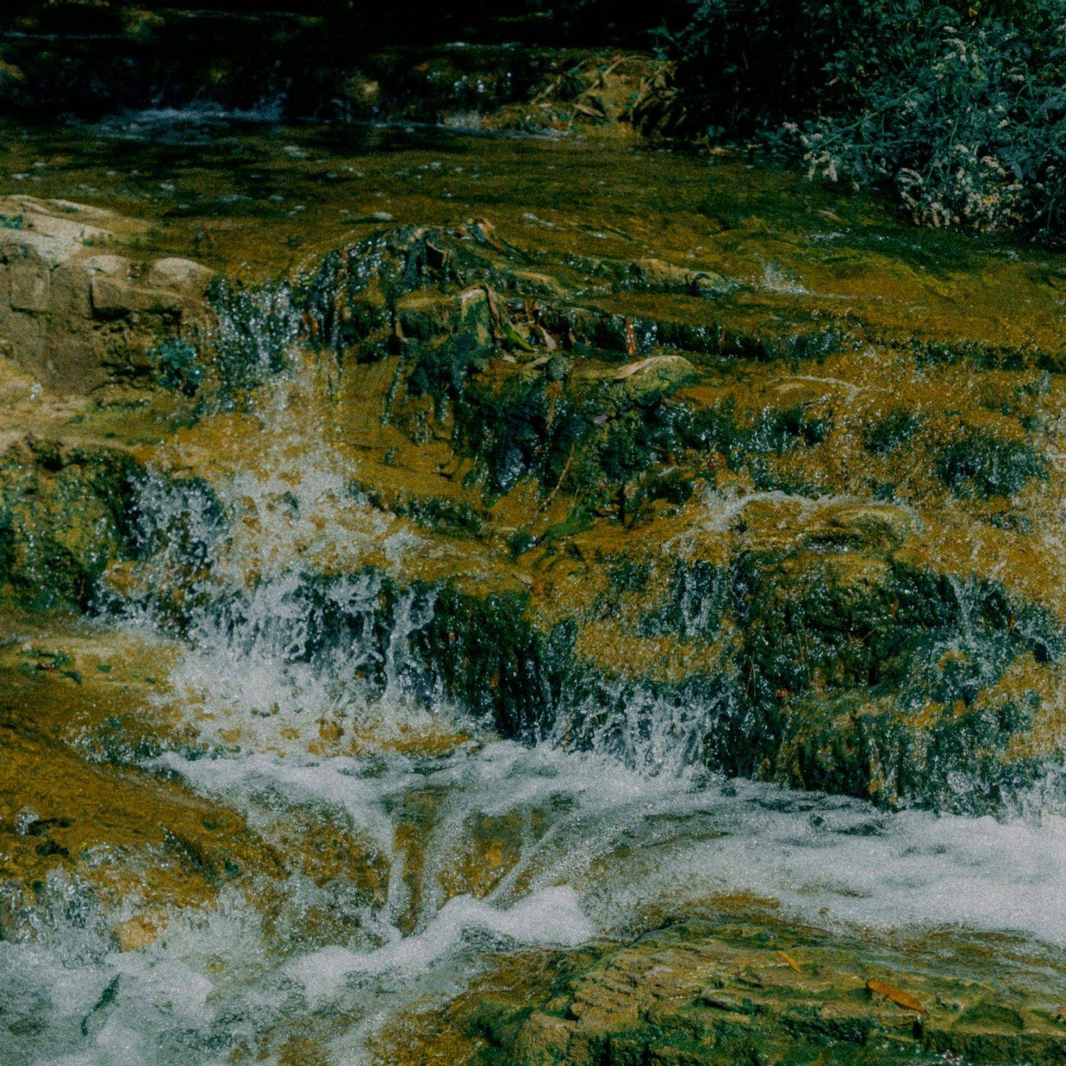 Tranquil creek water cascading over natural rocks in a peaceful outdoor setting.