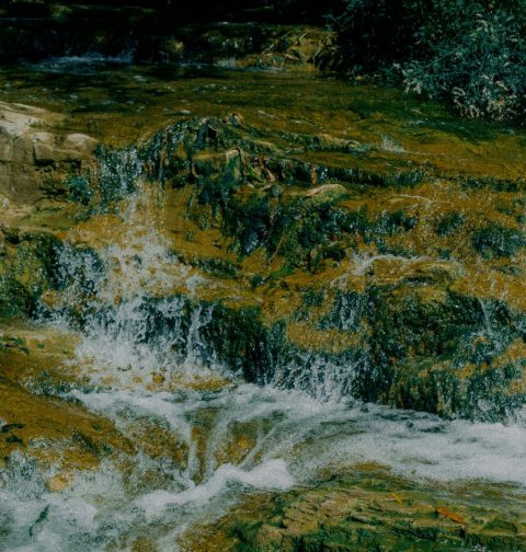 Tranquil creek water cascading over natural rocks in a peaceful outdoor setting.