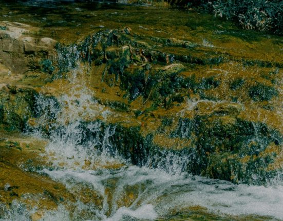 Tranquil creek water cascading over natural rocks in a peaceful outdoor setting.